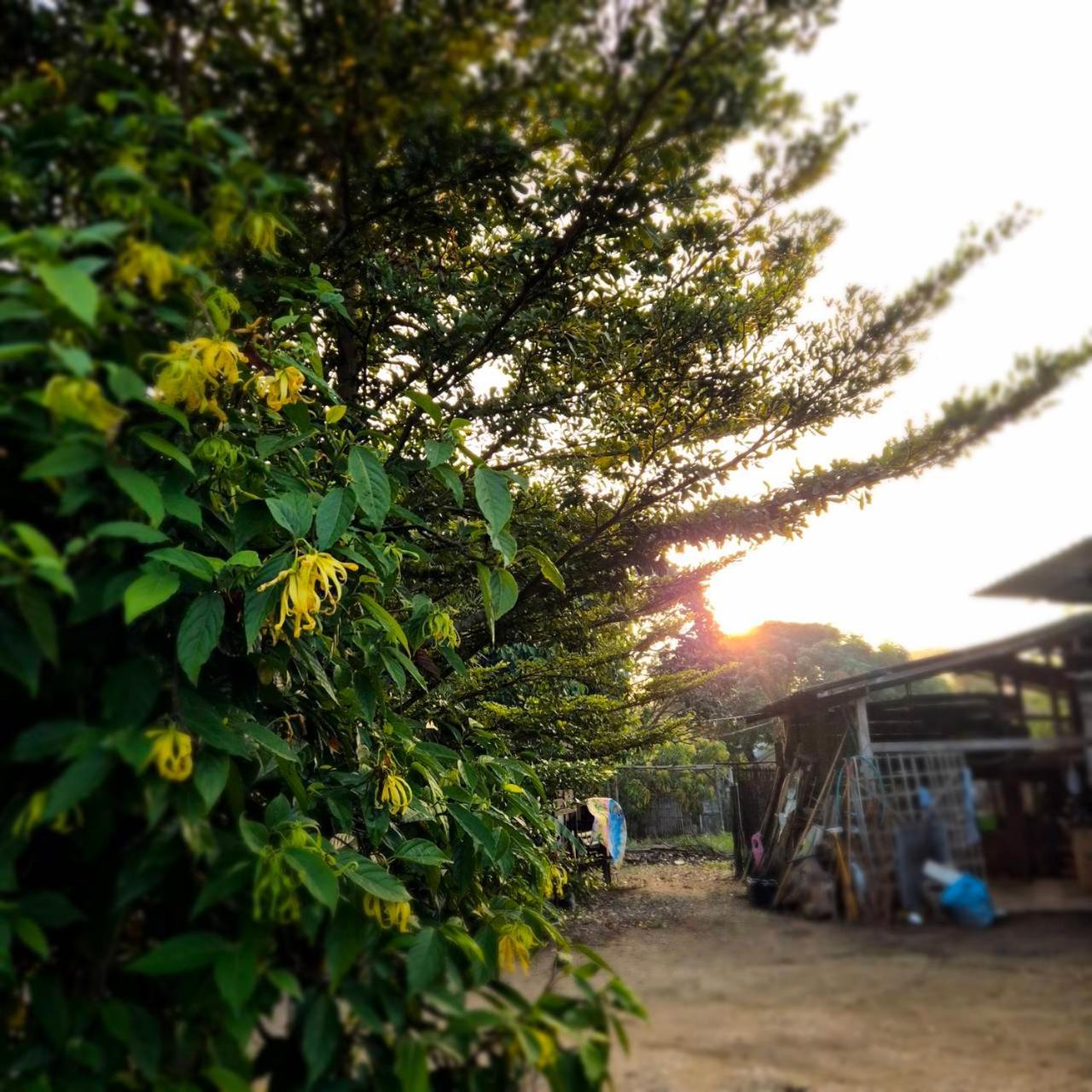 Kedthawa Homestay เฮือนเก็ดถะหวา Ban Cho Lae Zewnętrze zdjęcie